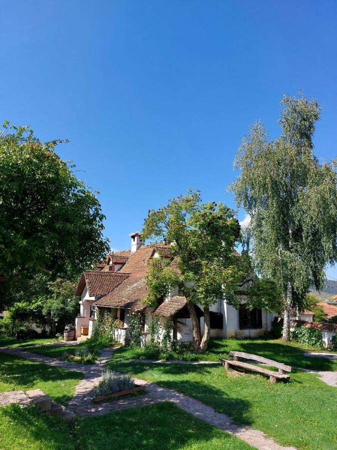 Count Kalnoky'S Transylvanian Guesthouses Miclosoara 외부 사진